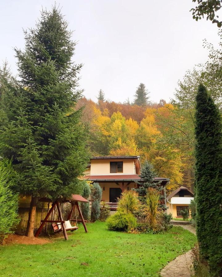 Treehouse Villa Padurea Neagra Buitenkant foto